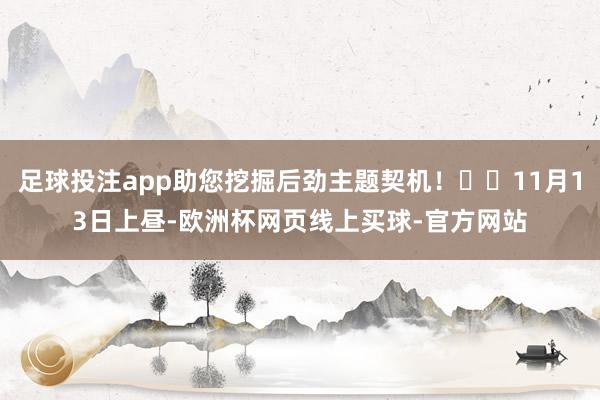 足球投注app助您挖掘后劲主题契机！		11月13日上昼-欧洲杯网页线上买球-官方网站