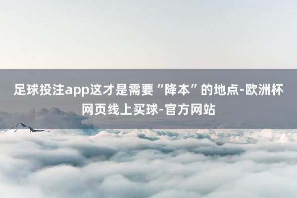 足球投注app这才是需要“降本”的地点-欧洲杯网页线上买球-官方网站