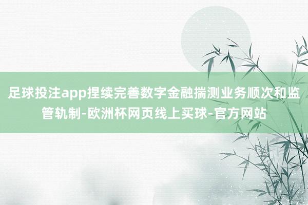 足球投注app捏续完善数字金融揣测业务顺次和监管轨制-欧洲杯网页线上买球-官方网站