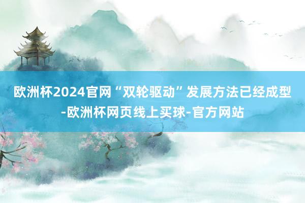欧洲杯2024官网“双轮驱动”发展方法已经成型-欧洲杯网页线上买球-官方网站