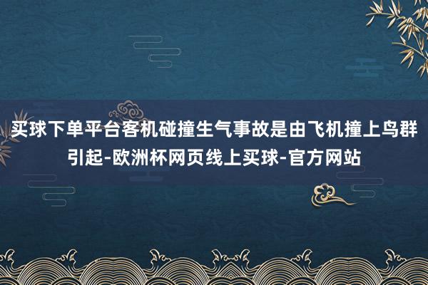 买球下单平台客机碰撞生气事故是由飞机撞上鸟群引起-欧洲杯网页线上买球-官方网站