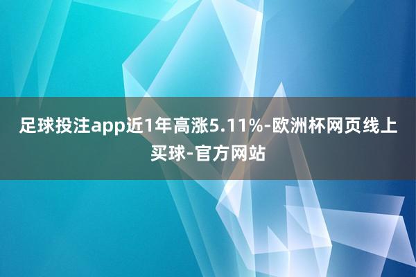 足球投注app近1年高涨5.11%-欧洲杯网页线上买球-官方网站