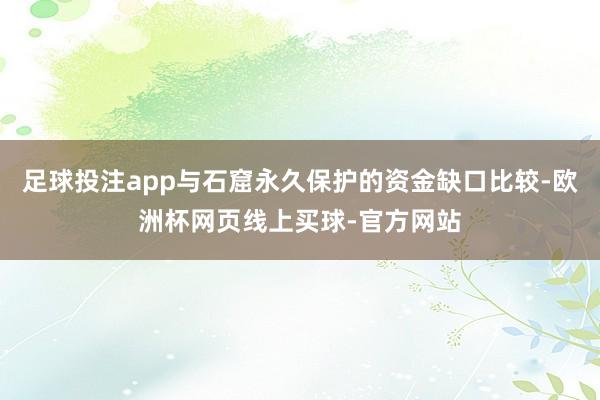 足球投注app与石窟永久保护的资金缺口比较-欧洲杯网页线上买球-官方网站