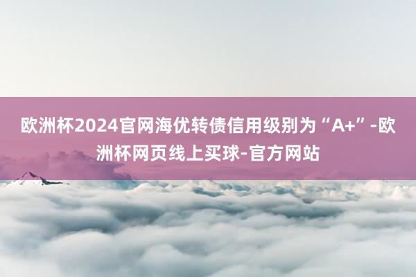 欧洲杯2024官网海优转债信用级别为“A+”-欧洲杯网页线上买球-官方网站